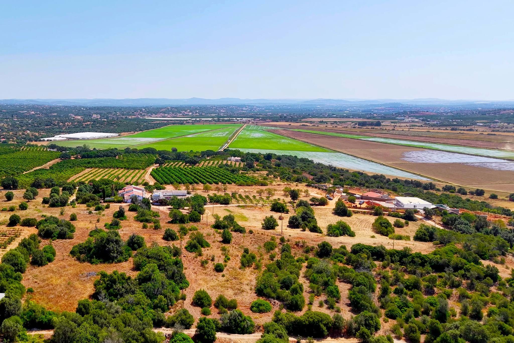 Estrutura - Junho 2025